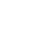 Corporate Compliance and Advisory Services